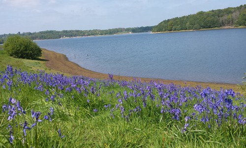 Bewl Water Reservoir