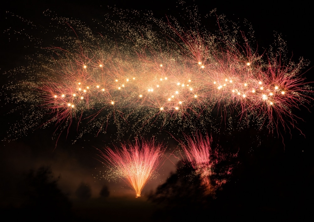 Annual firework display makes a record-breaking return to park