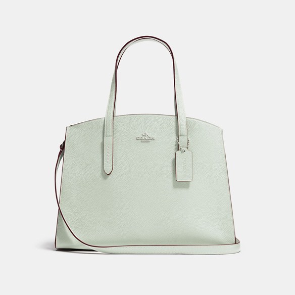 Coach Charlie carryall