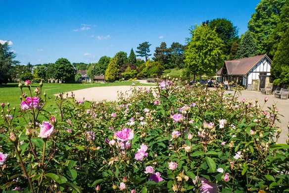 Calverley Grounds