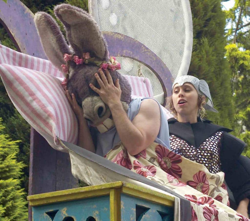 A Midsummer's Night Dream