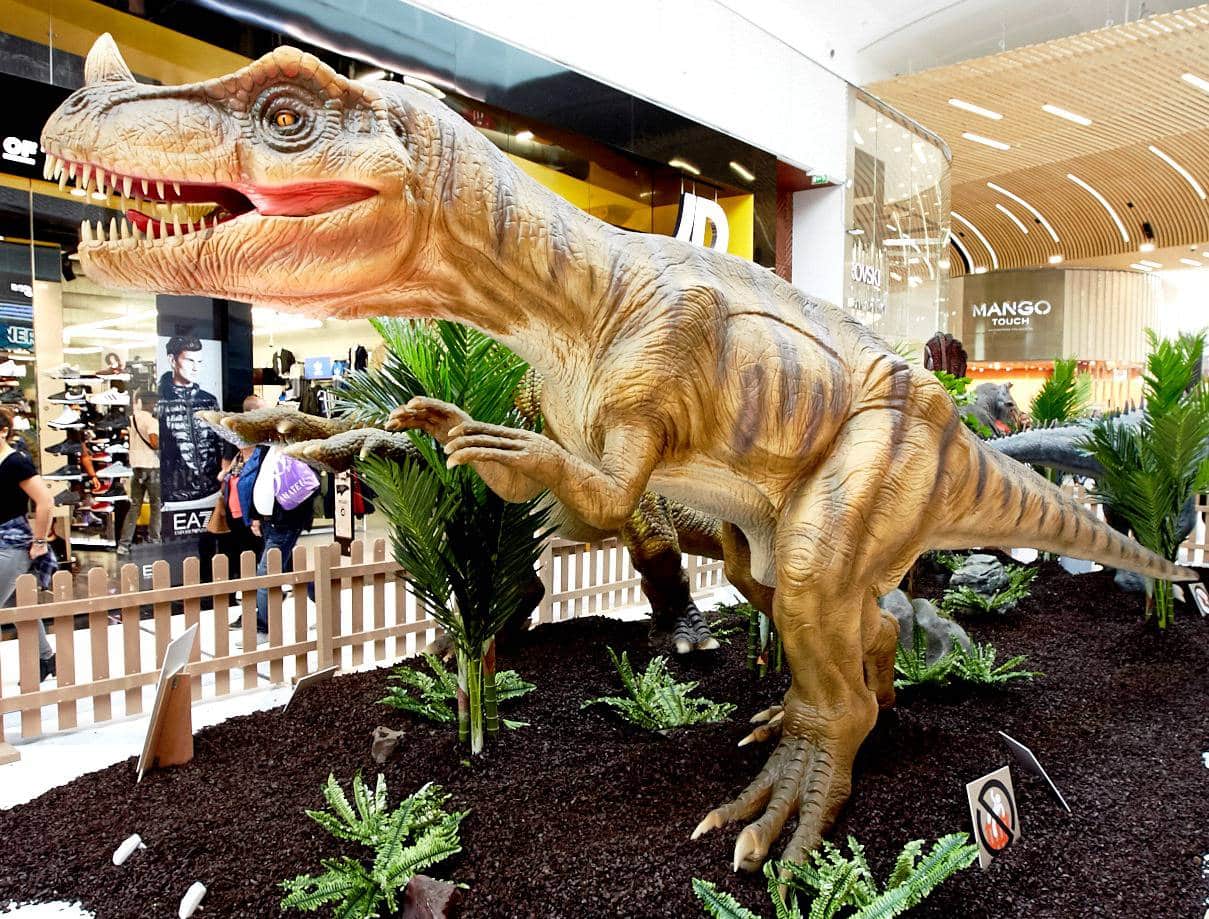 Retailers hoping to attract roaring trade