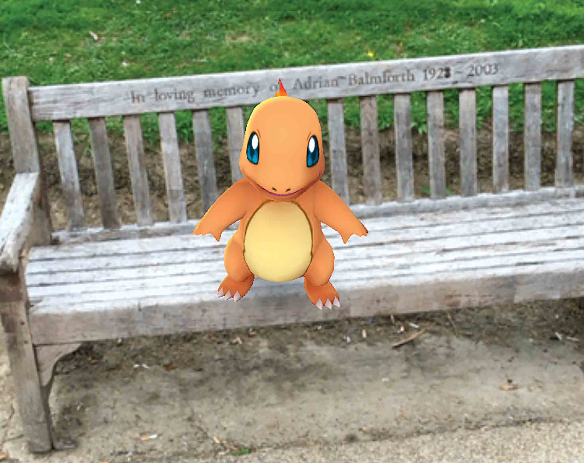 Calverley Grounds bench