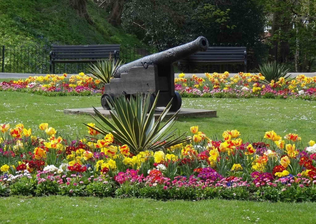 Cannon Lawn Tonbridge 2