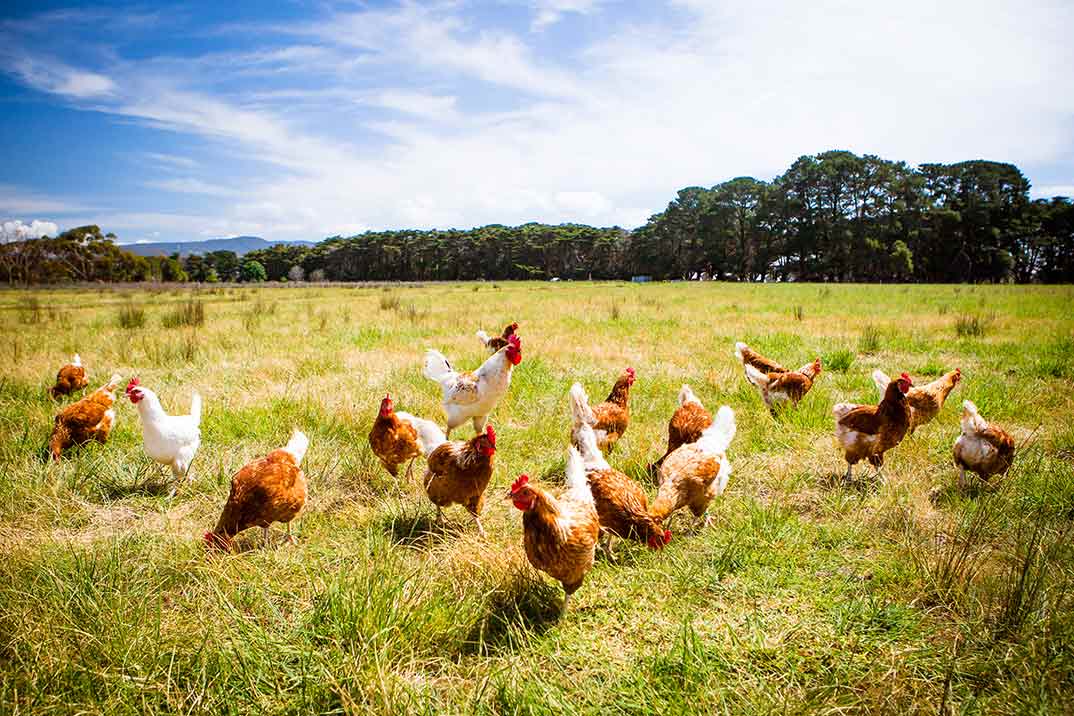 Potash Farm 2