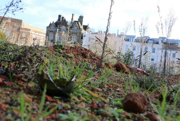 We ask Tunbridge Wells council: How was £500,000 agreed in 'sweetener' fees for cinema site
