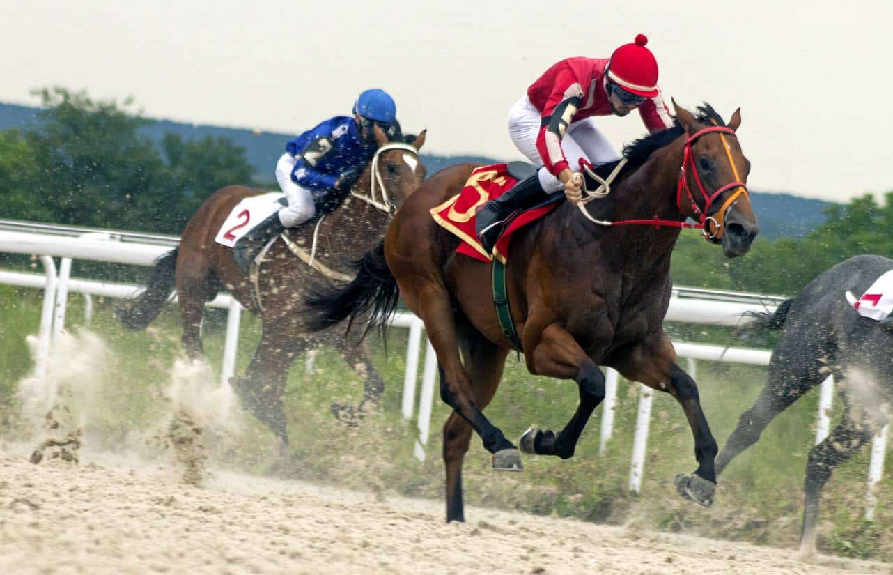 Charity mounts campaign to reform horseracing rules