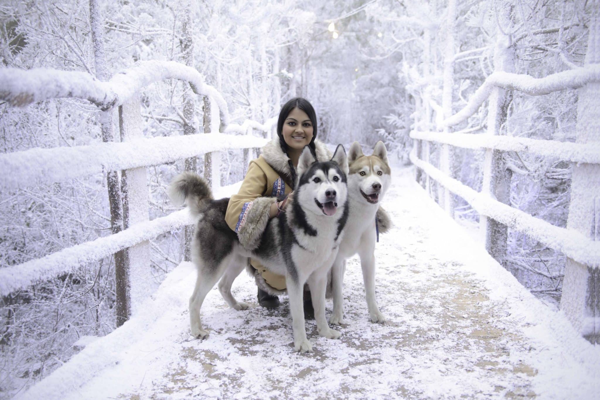 Lapland UK, which started life in Tunbridge Wells, now making £5million turnover