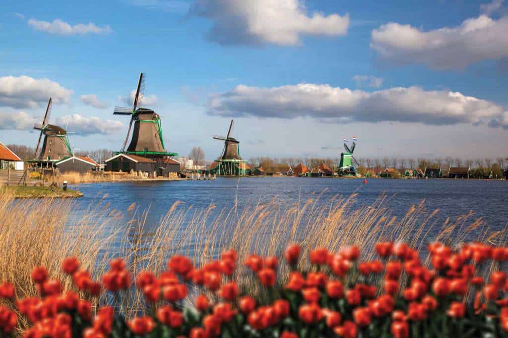Keukenhof Gardens