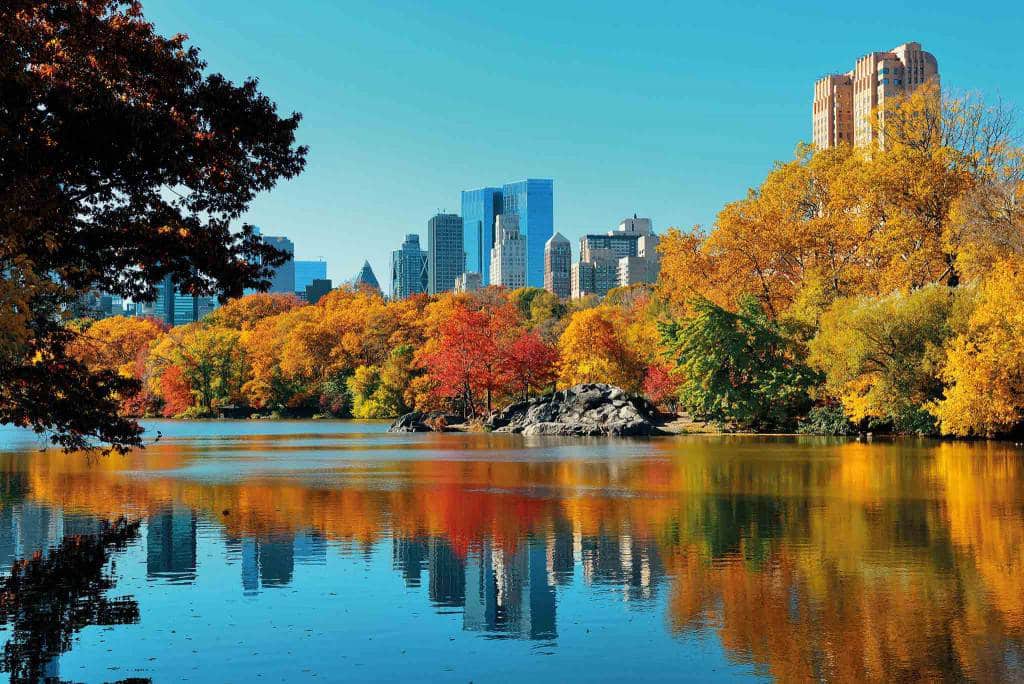 New York 2