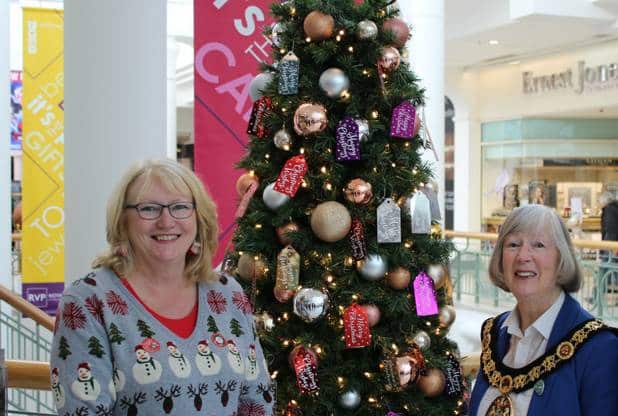 Teddy Mayor Toy Appeal to shine a light in Tunbridge Wells