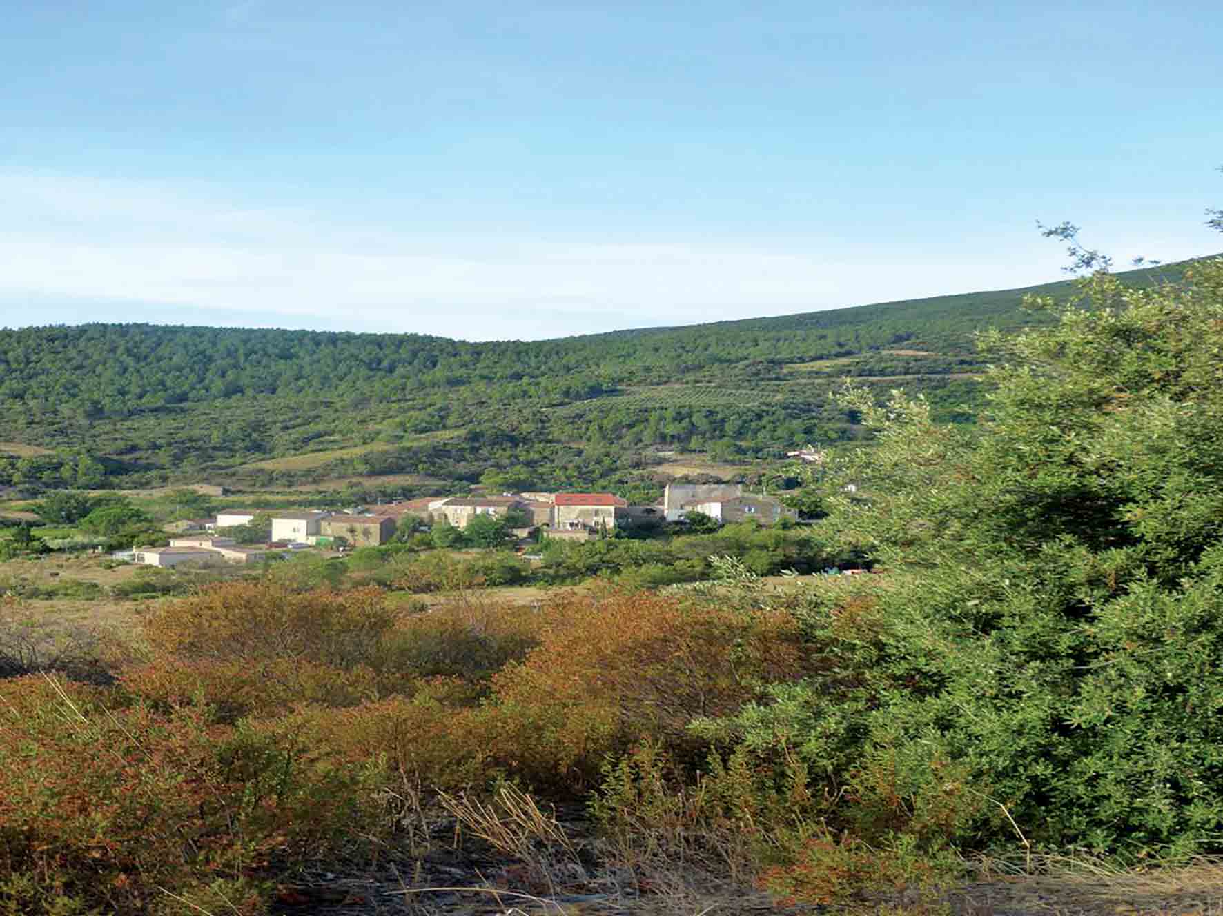 Lynne's Organic Farm