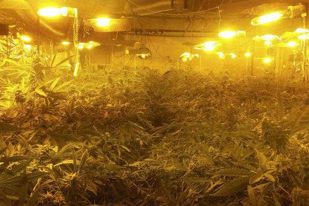 Almost a century in jail for £50m drug gang