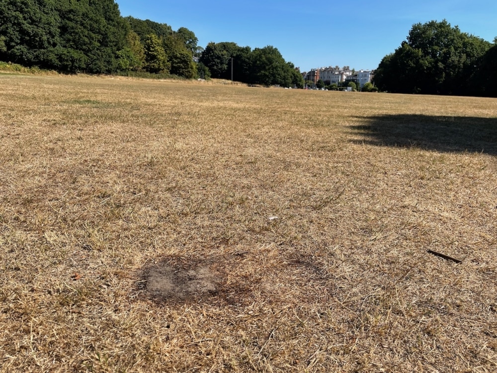 Parched Tunbridge Wells Common