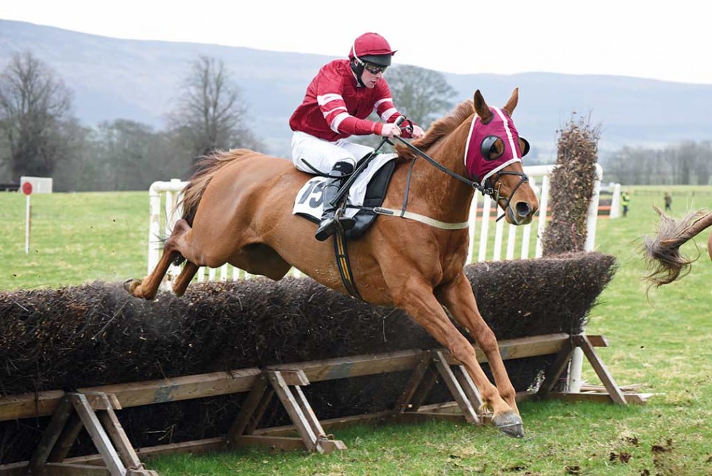 Penshurst Point to Point