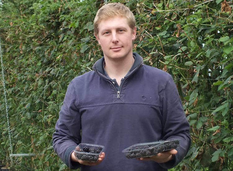 Union gives farm backing in the polytunnel dispute