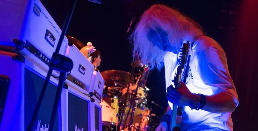 Guitarist of the Quo Experience