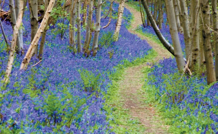 Riverhill Himalayan Gardens