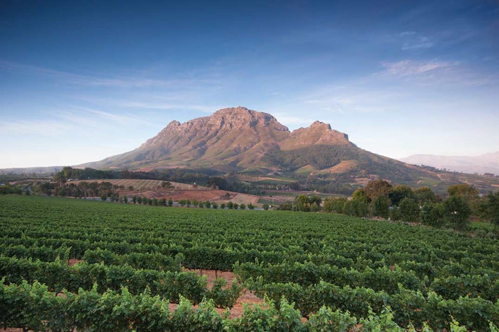 Stellenbosch South Africa