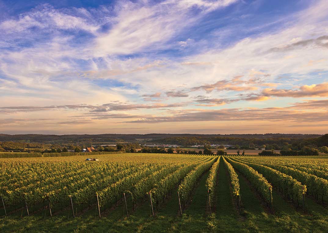 Kit's Coty Chardonnay 2013