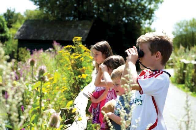 Wildfowl and Wetland Trust