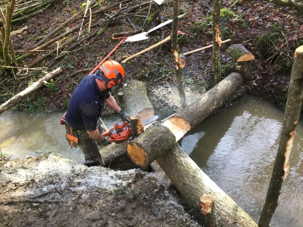Natural flood defence offers positive vision for the future