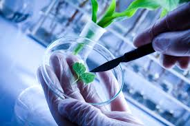 bio