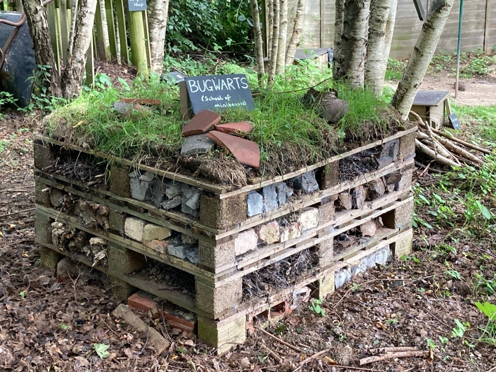 2021 Competition Winner