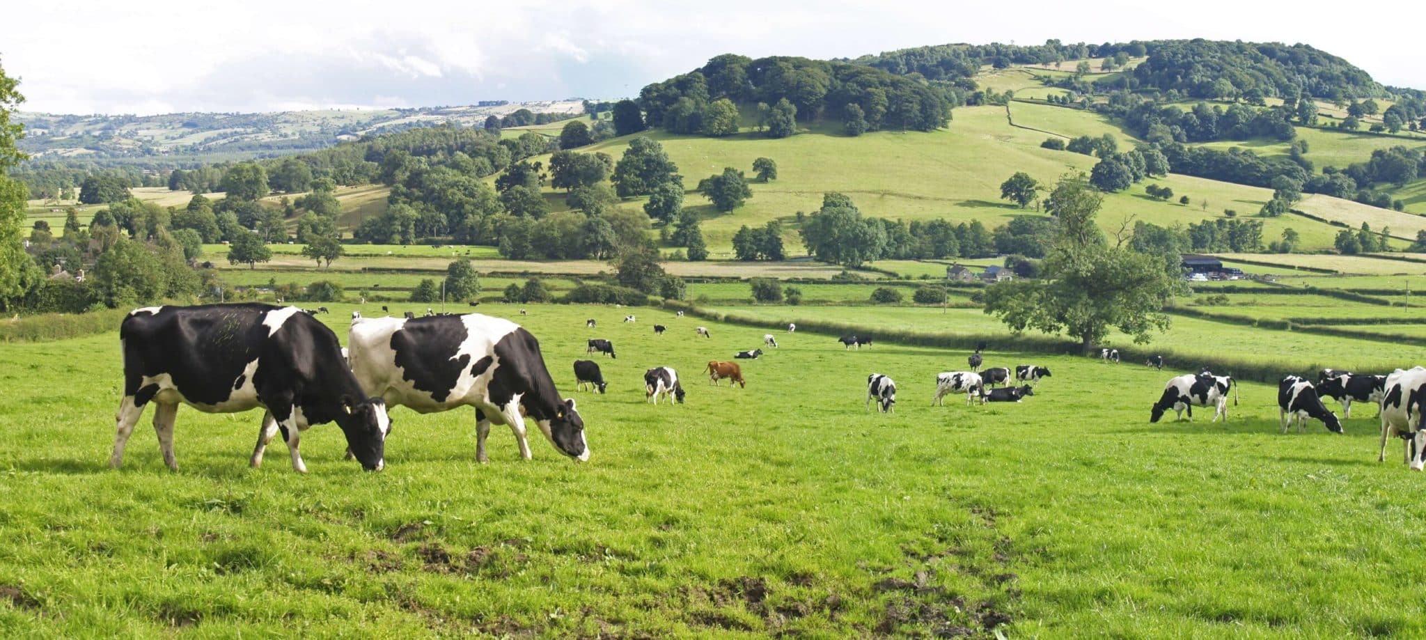 Extra aid for Sussex farmers