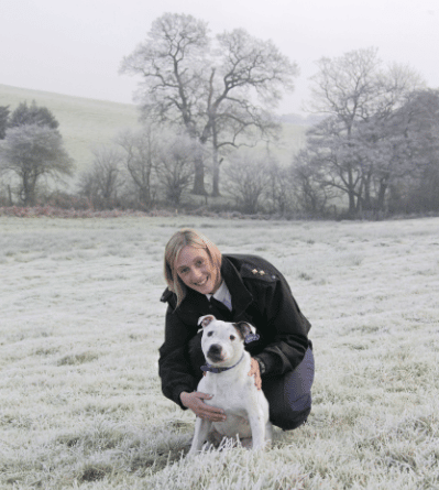 Winter spike in animal distress predicted by concerned charity