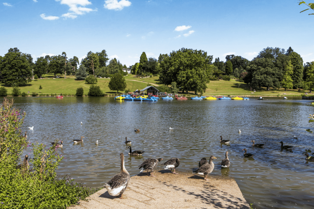 Council considers U-turn on fees for car parking at Dunorlan Park