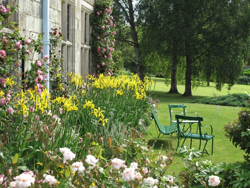 The deep herbaceous borders give so much character to the planting.