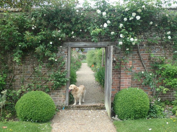 Roses at Falconhurst, near Edenbridge, aren't just enjoyed by the human visitors!