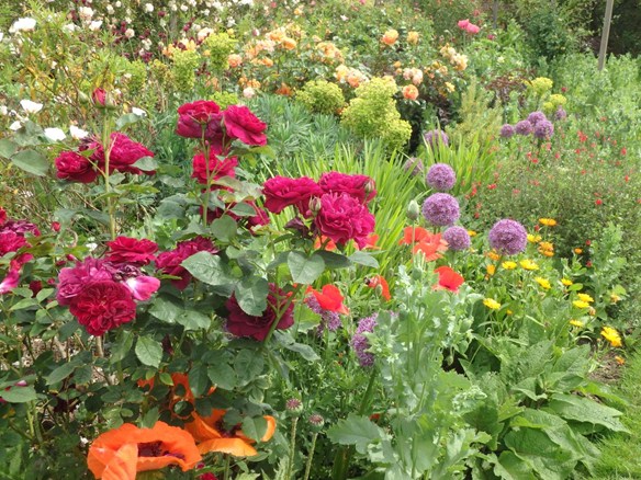 The deep herbaceous borders give so much character to the planting.