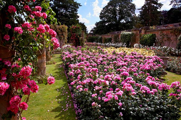 Flower Garden at Hever Castle