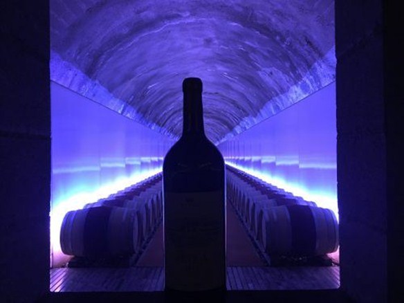 Bottle Of Wine in wine cellar