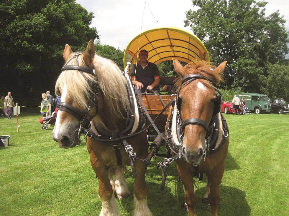 Dig out your family treasures for Southborough Lions' Antiques Roadshow