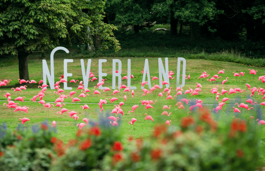 Festival floods the Forum with a flurry of flamingos