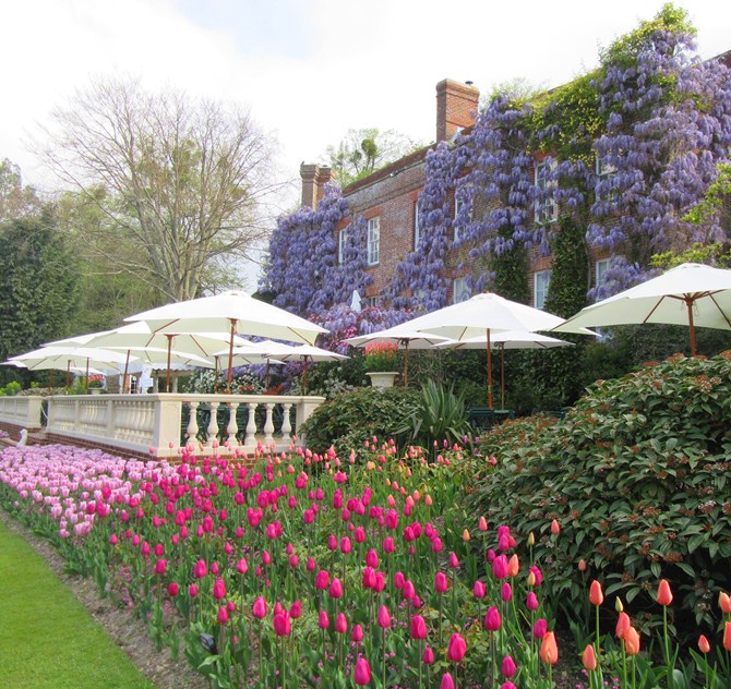 Pashley Manor Gardens is the most famous of tulip festivals