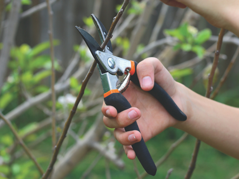 Mulching is a great way to boost nutrients in the soil when gardening.