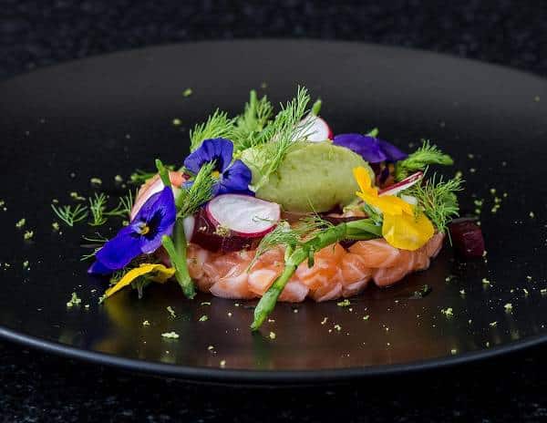 salmon