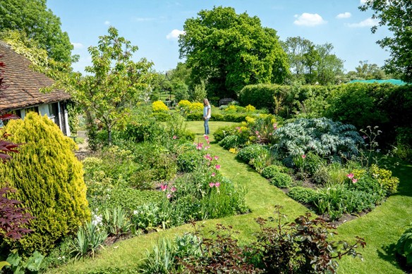 Colourful planting is ideal for bees