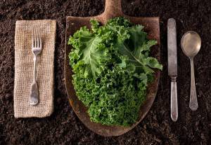 KILLER BLOW WHEN IT COMES TO KALE - Jay Rayner doesn't think we should treat food as pharmaceuticals