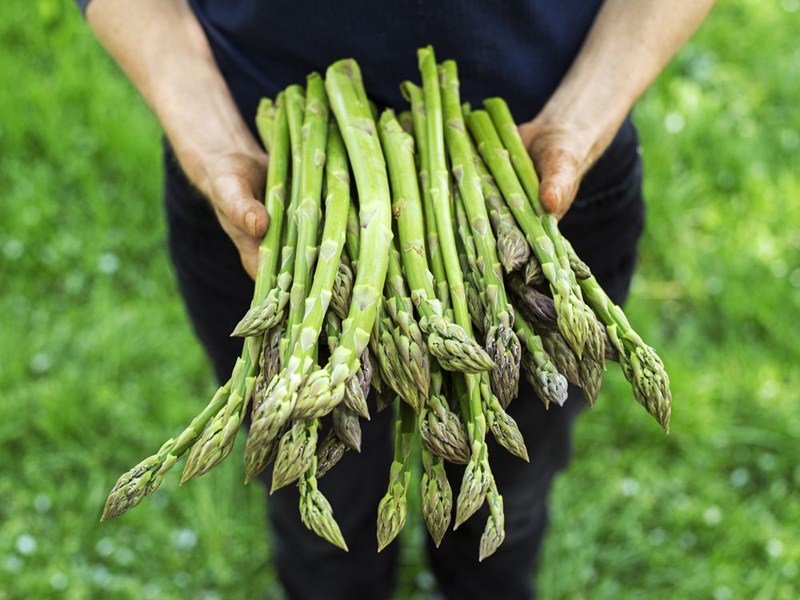 This Chardonnay is refreshing pairing for seasonal asparagus