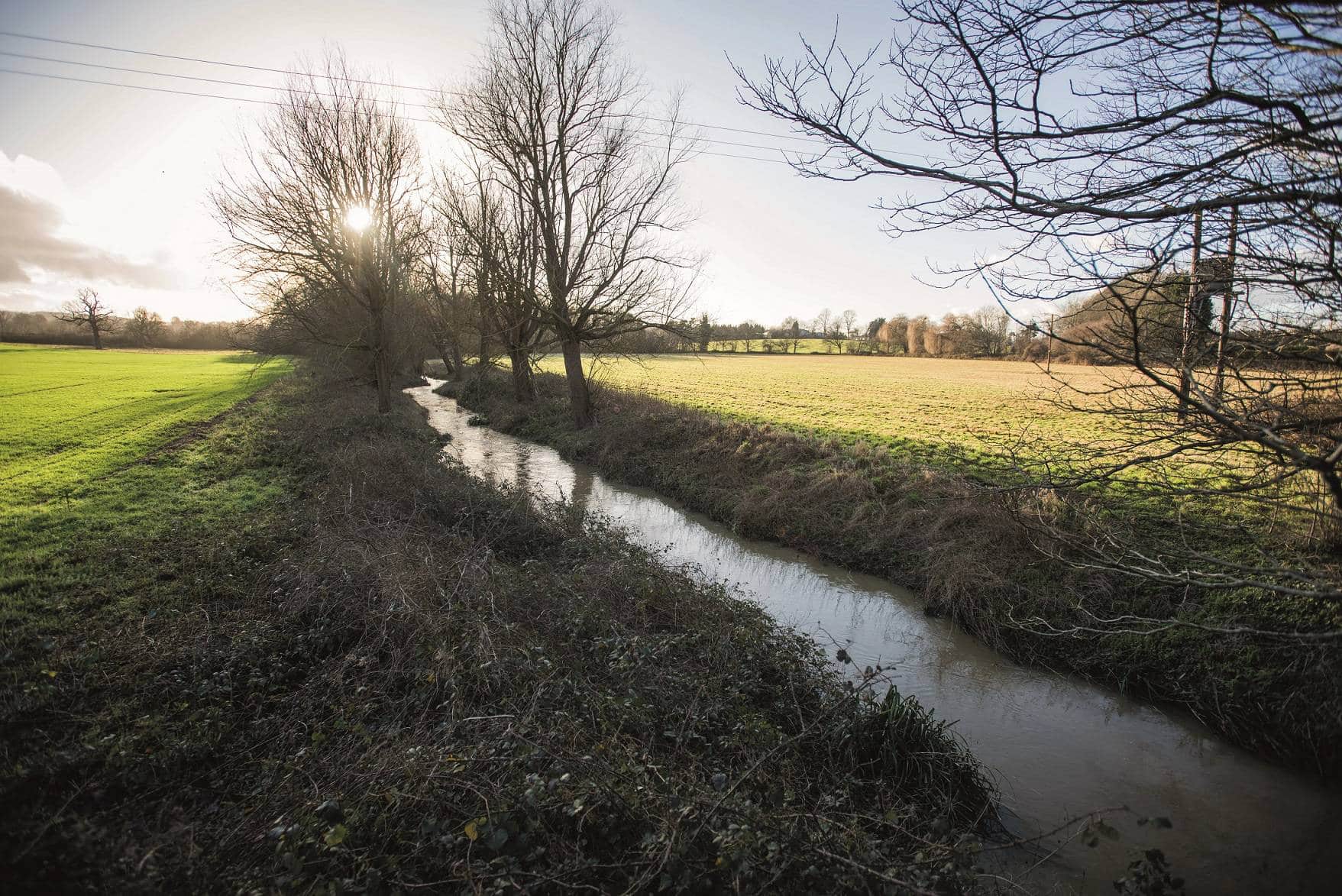 Somerhill Stream is one of the most polluted rivers in Britain