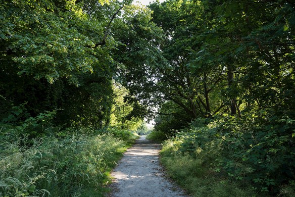 The old racecourse can still be seen as paved pathways on the common in Tunbridge Wells