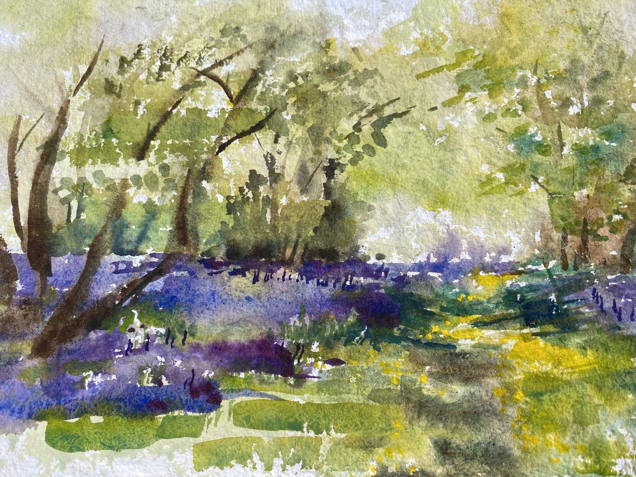 Bluebell Walk by Mary Harris